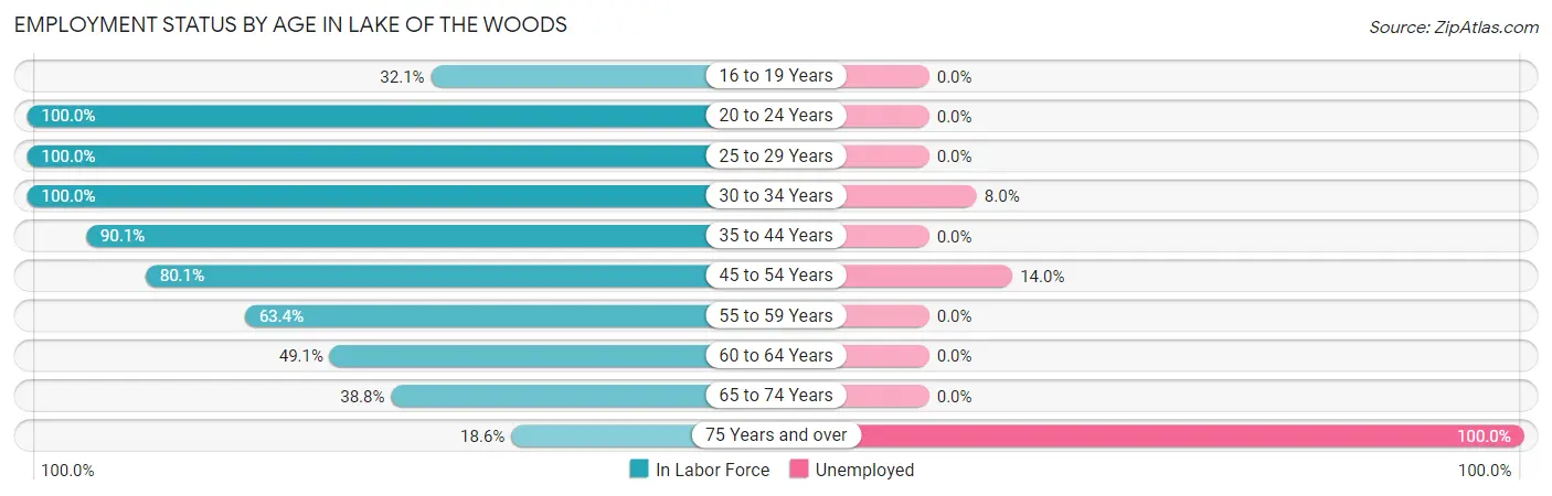 Employment Status by Age in Lake of the Woods
