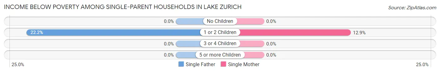 Income Below Poverty Among Single-Parent Households in Lake Zurich