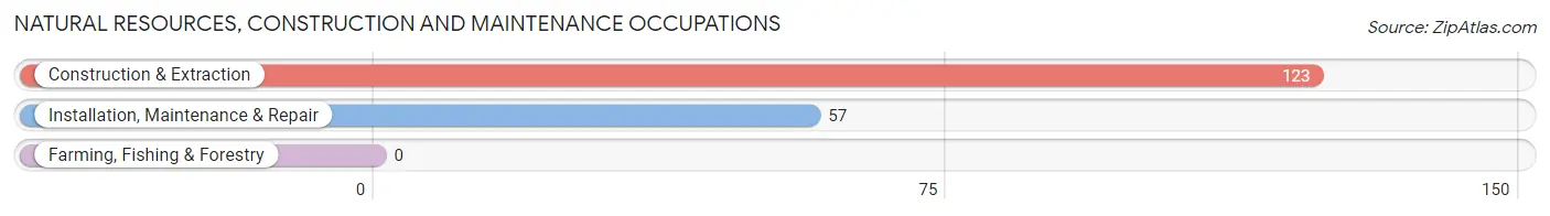 Natural Resources, Construction and Maintenance Occupations in Le Roy