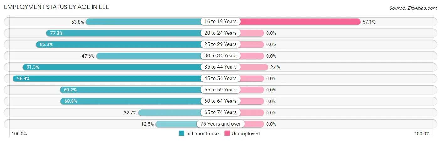 Employment Status by Age in Lee