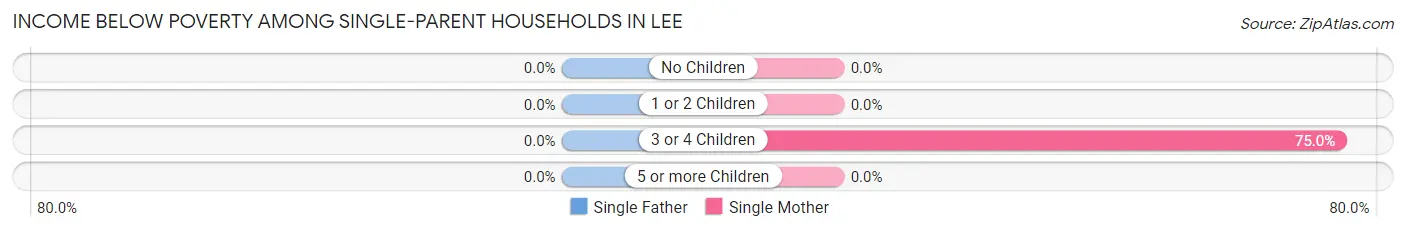 Income Below Poverty Among Single-Parent Households in Lee