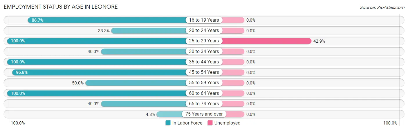 Employment Status by Age in Leonore