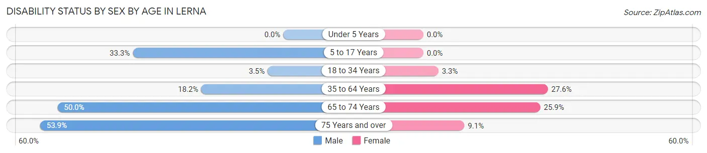 Disability Status by Sex by Age in Lerna
