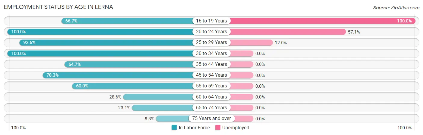 Employment Status by Age in Lerna