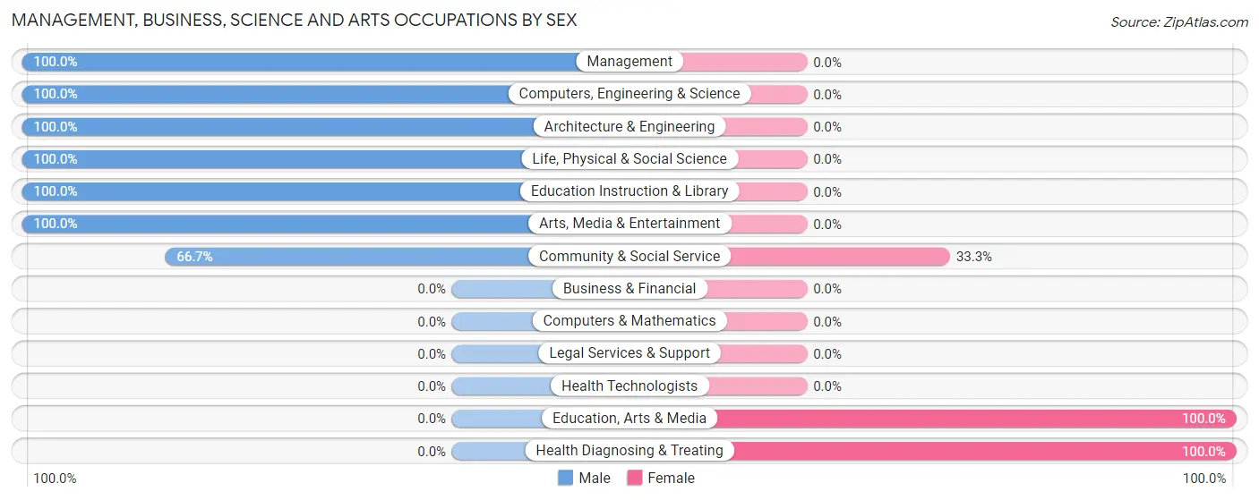Management, Business, Science and Arts Occupations by Sex in Lerna