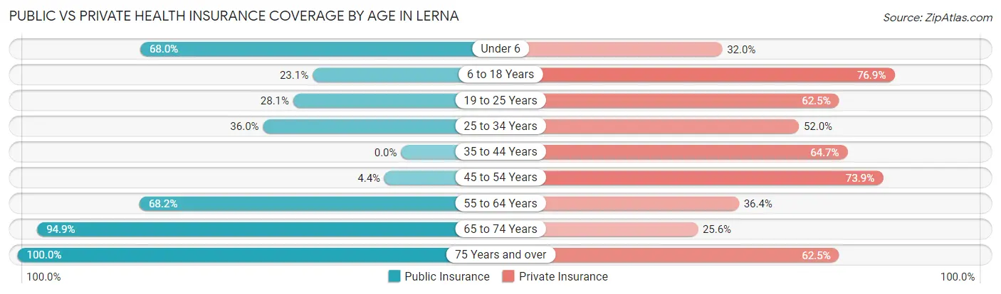 Public vs Private Health Insurance Coverage by Age in Lerna