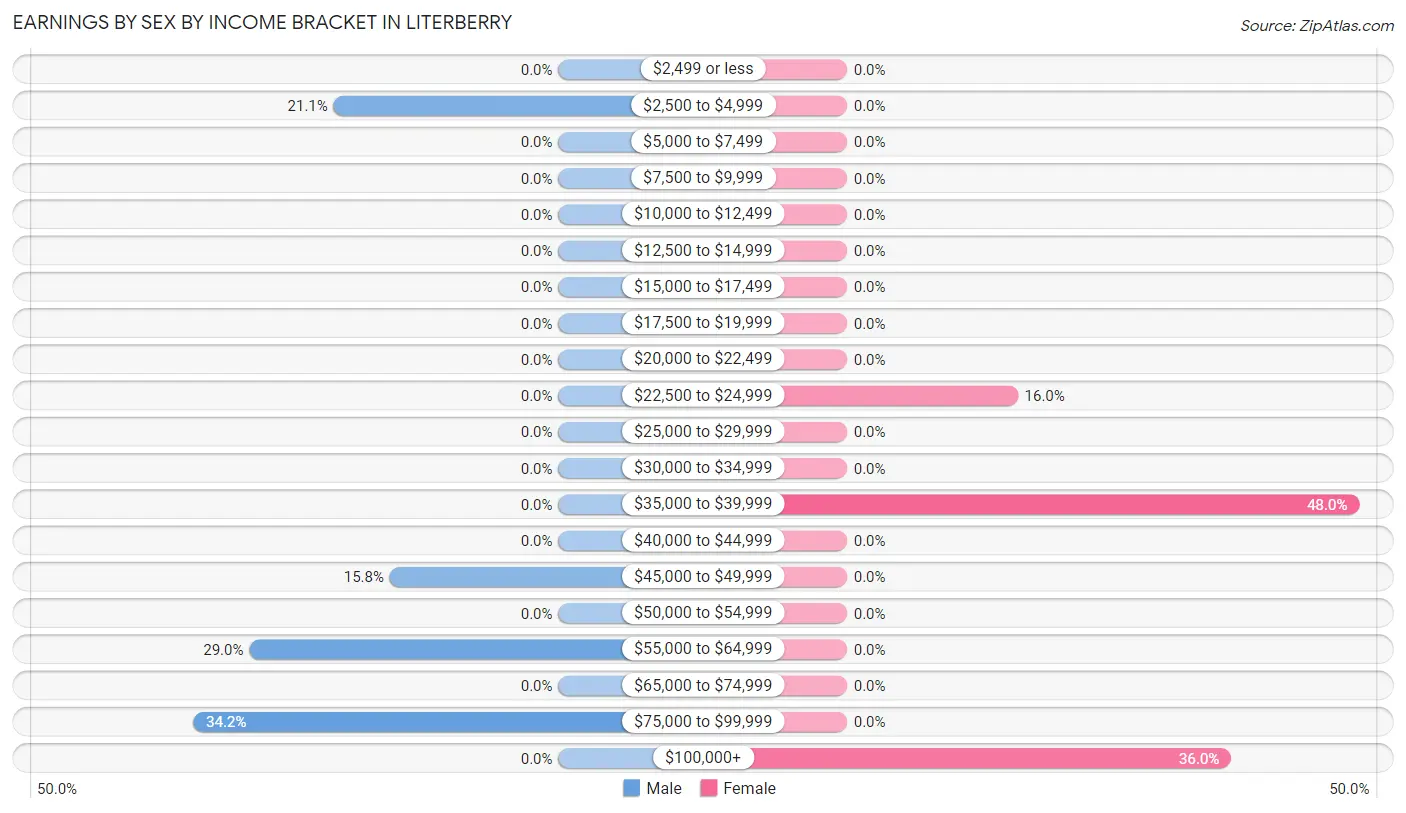 Earnings by Sex by Income Bracket in Literberry