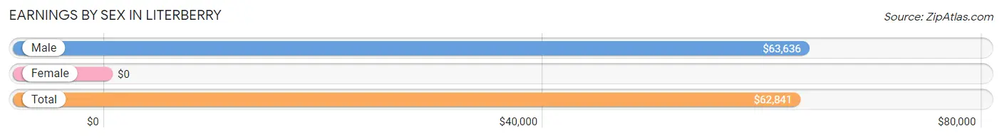 Earnings by Sex in Literberry