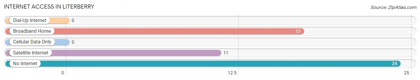 Internet Access in Literberry