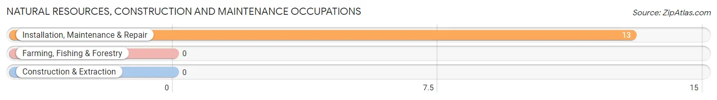 Natural Resources, Construction and Maintenance Occupations in Literberry