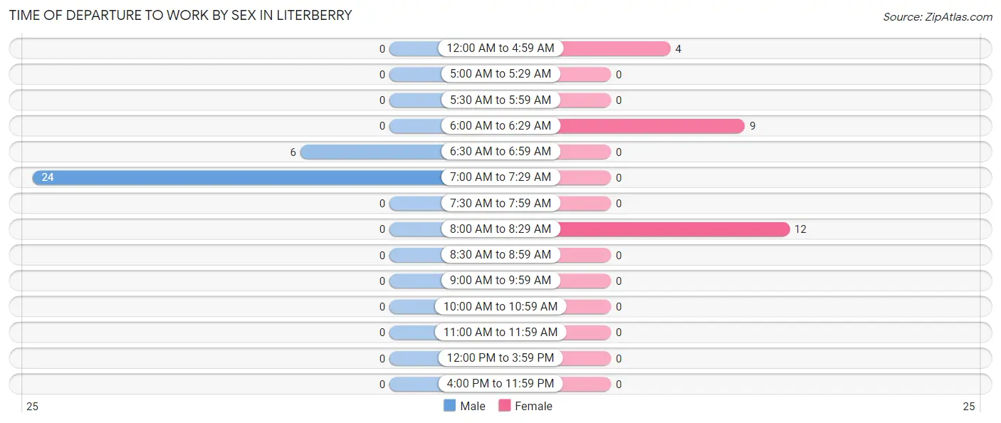 Time of Departure to Work by Sex in Literberry