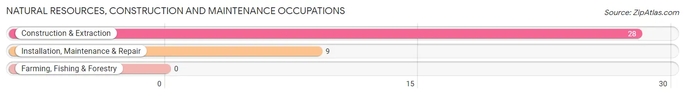 Natural Resources, Construction and Maintenance Occupations in Loami