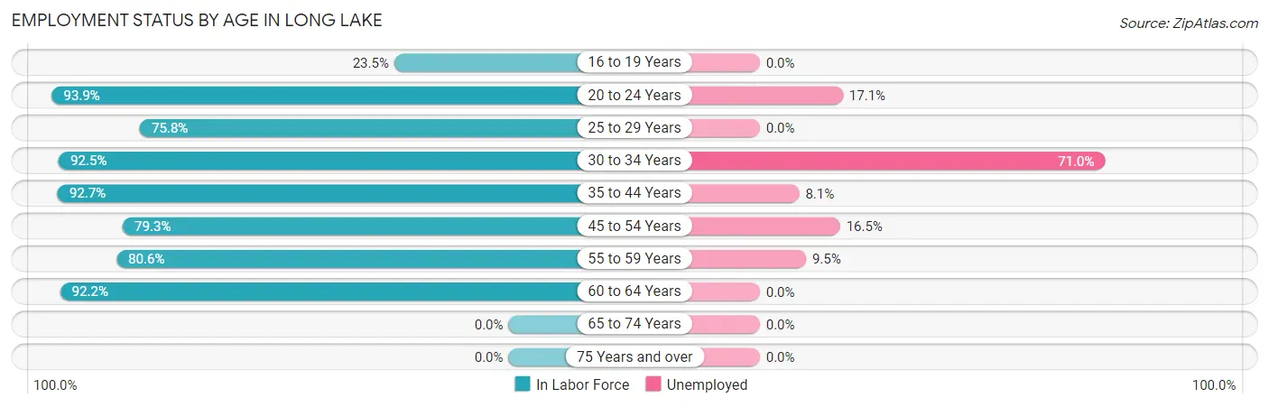 Employment Status by Age in Long Lake