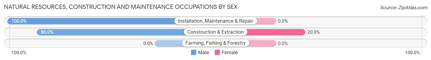 Natural Resources, Construction and Maintenance Occupations by Sex in Longview