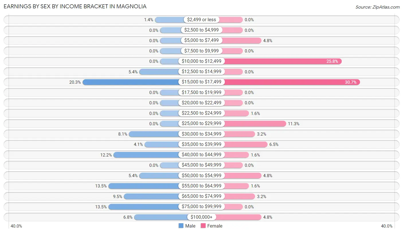 Earnings by Sex by Income Bracket in Magnolia