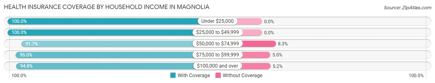 Health Insurance Coverage by Household Income in Magnolia