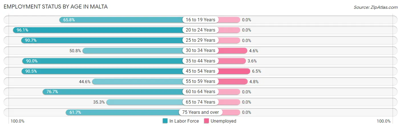 Employment Status by Age in Malta