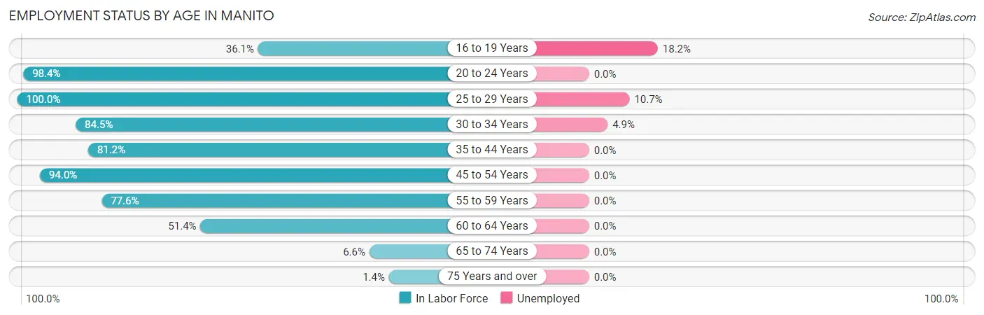 Employment Status by Age in Manito