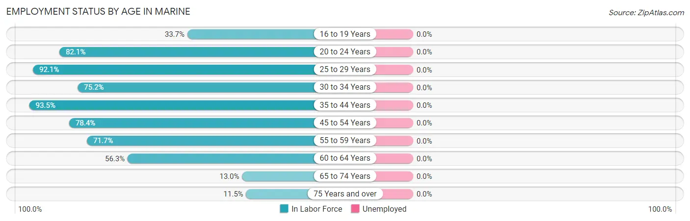 Employment Status by Age in Marine
