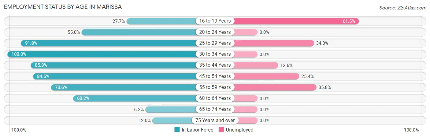 Employment Status by Age in Marissa