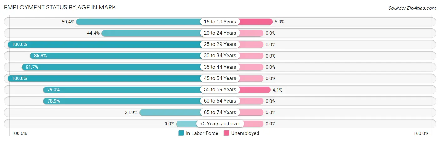Employment Status by Age in Mark