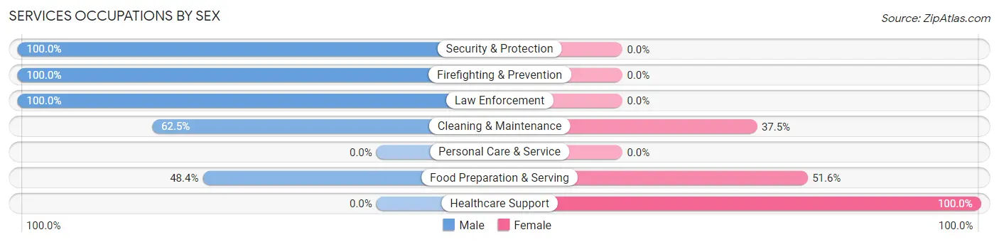 Services Occupations by Sex in Maroa