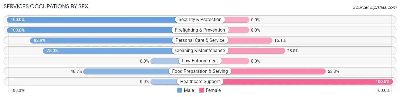 Services Occupations by Sex in Mazon