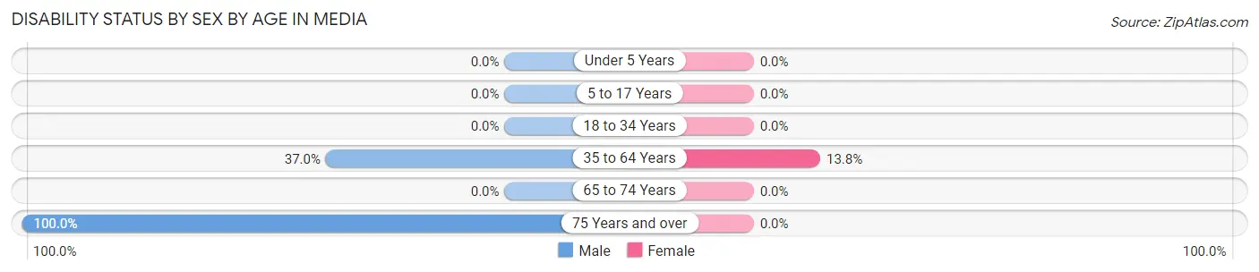 Disability Status by Sex by Age in Media