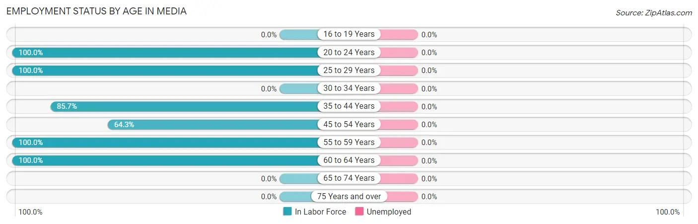 Employment Status by Age in Media