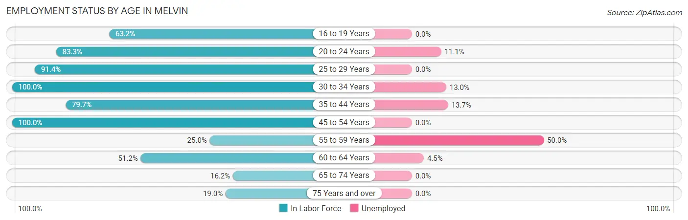 Employment Status by Age in Melvin