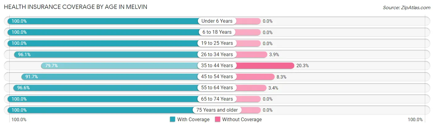 Health Insurance Coverage by Age in Melvin