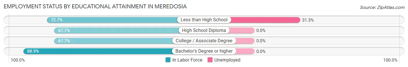 Employment Status by Educational Attainment in Meredosia