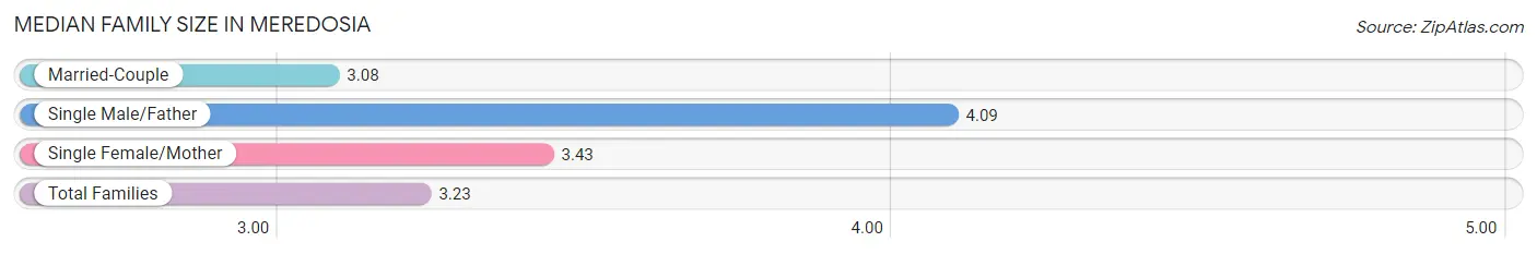 Median Family Size in Meredosia