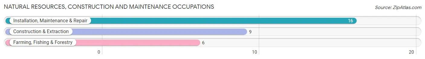 Natural Resources, Construction and Maintenance Occupations in Meredosia