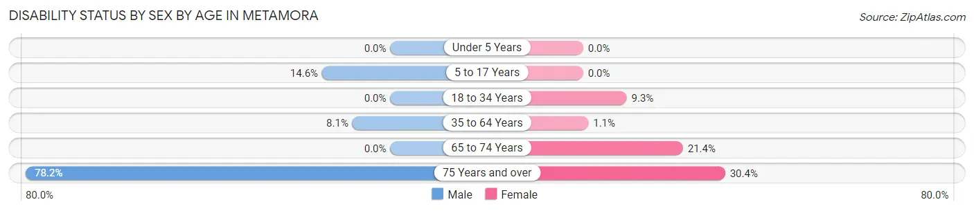 Disability Status by Sex by Age in Metamora