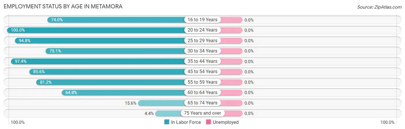 Employment Status by Age in Metamora