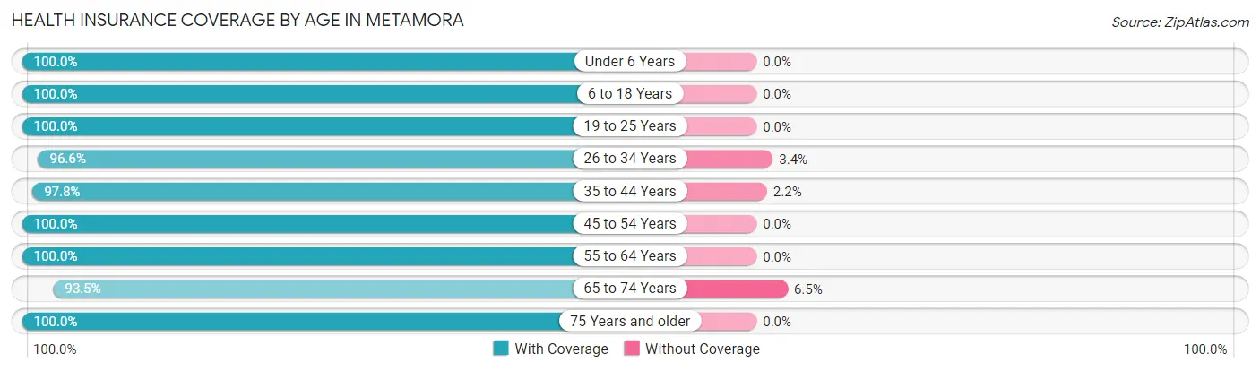 Health Insurance Coverage by Age in Metamora