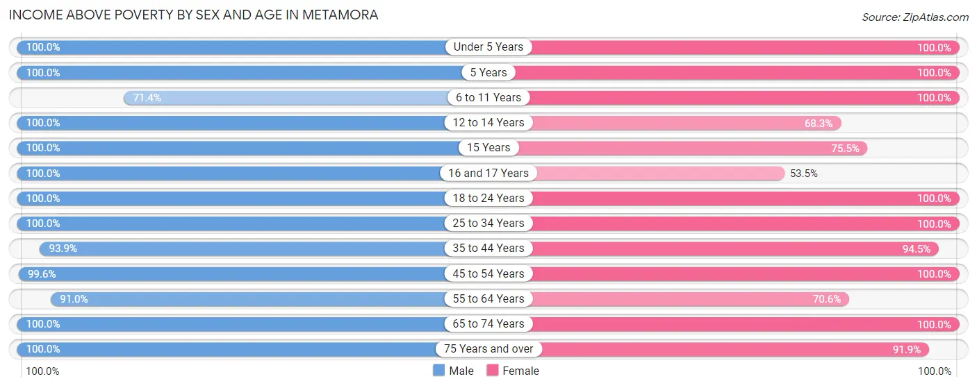 Income Above Poverty by Sex and Age in Metamora