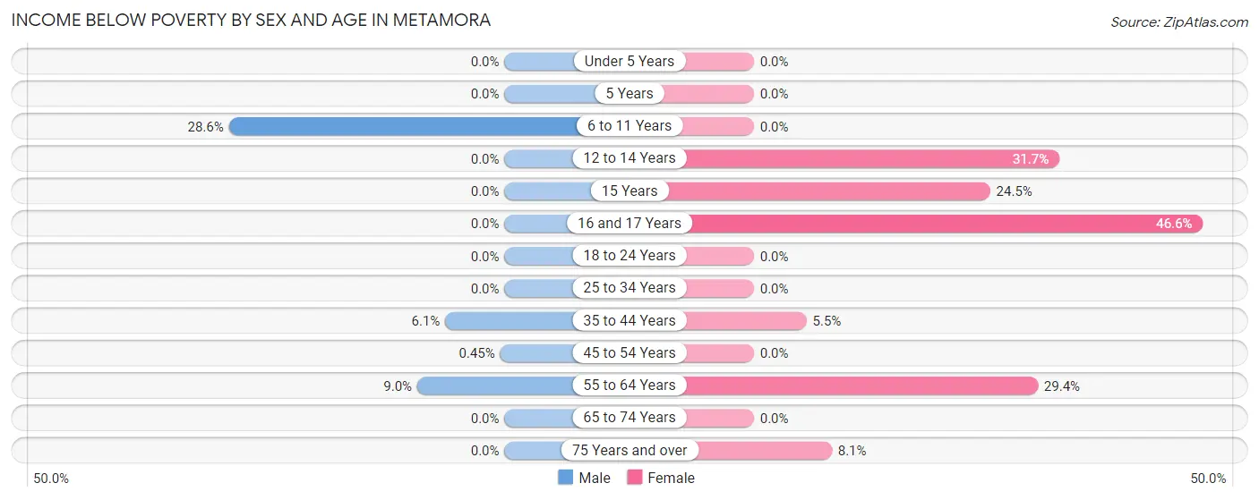 Income Below Poverty by Sex and Age in Metamora