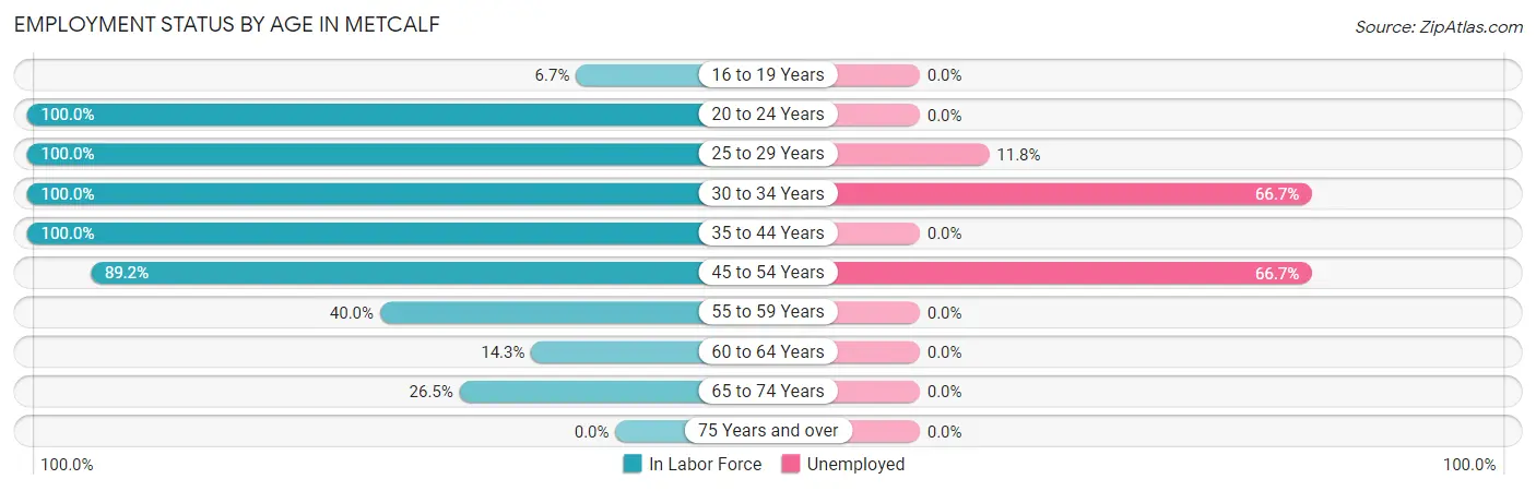 Employment Status by Age in Metcalf