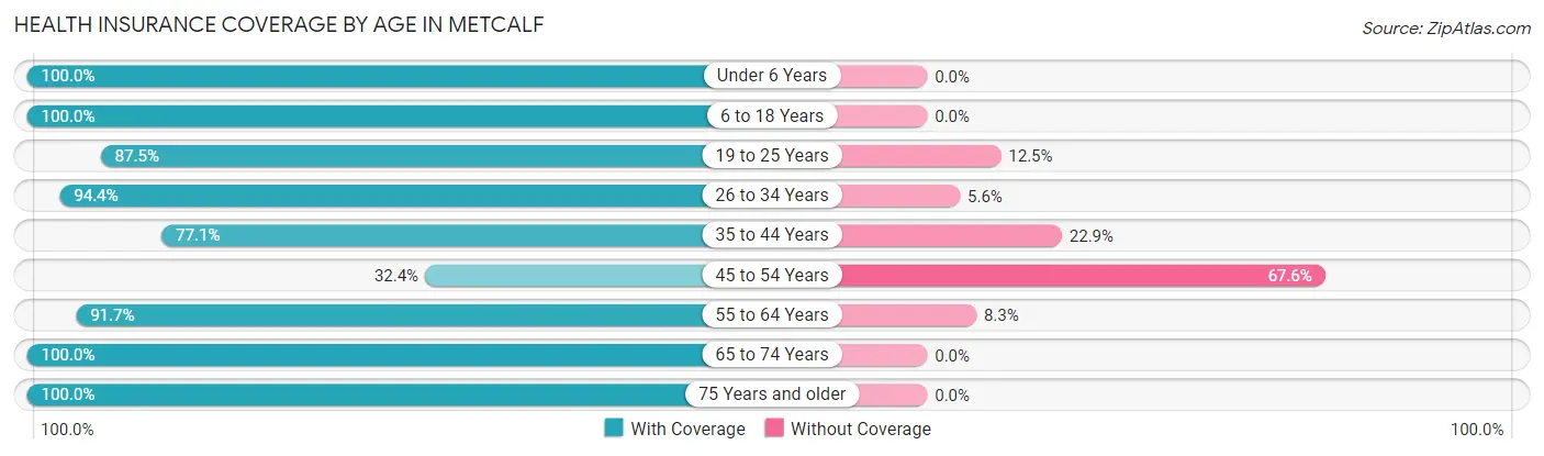 Health Insurance Coverage by Age in Metcalf