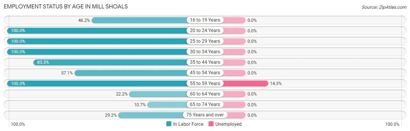 Employment Status by Age in Mill Shoals