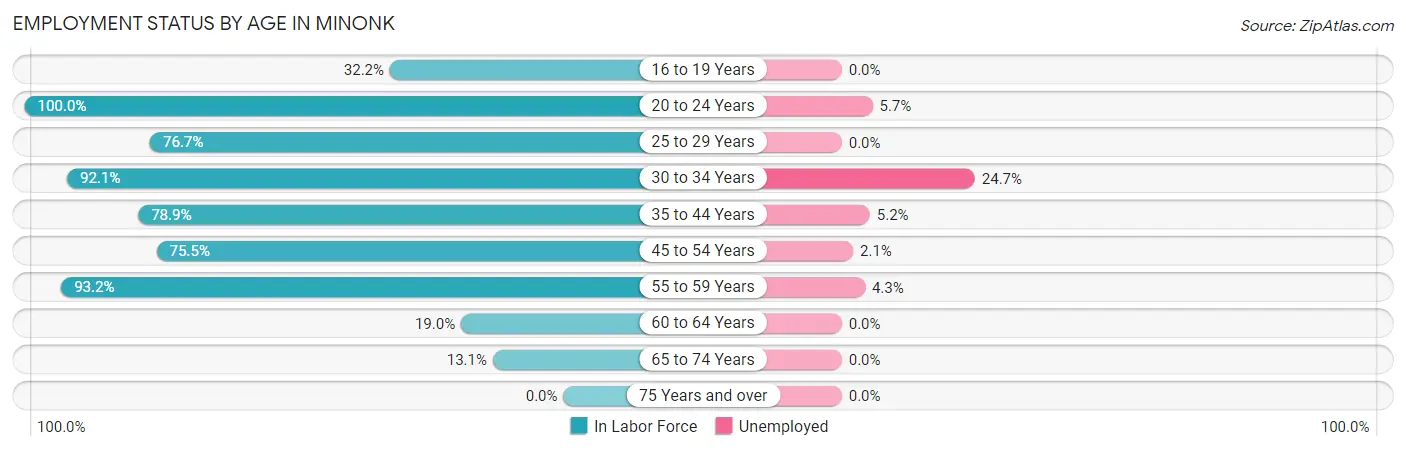 Employment Status by Age in Minonk