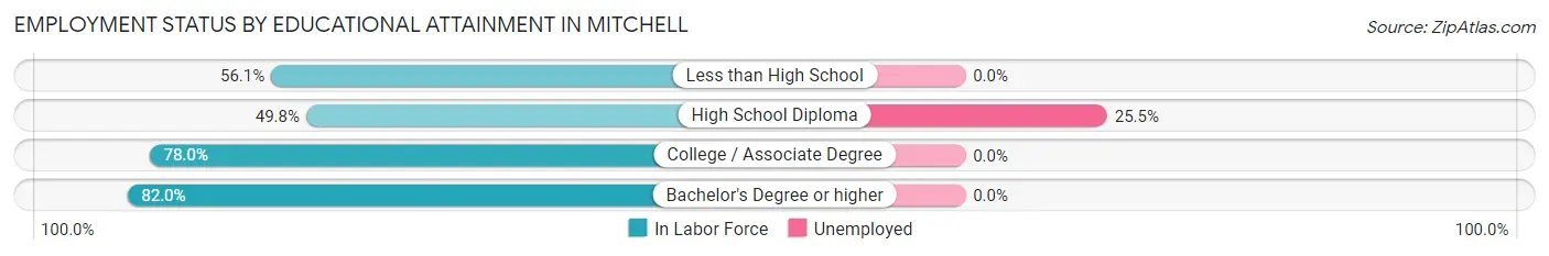 Employment Status by Educational Attainment in Mitchell