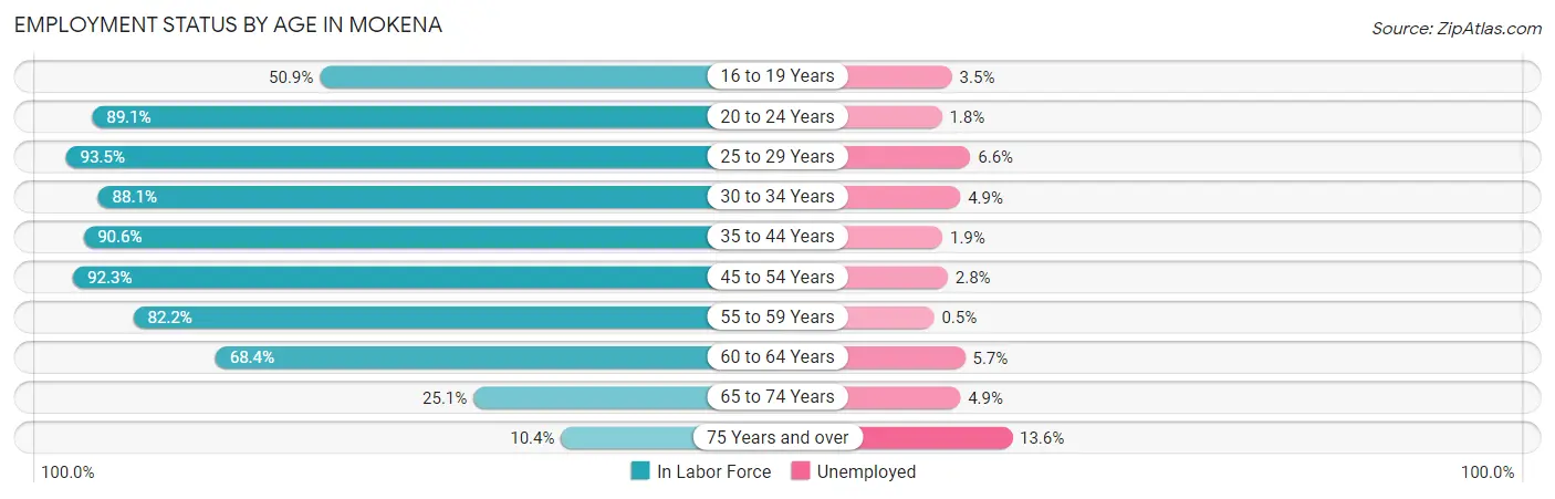 Employment Status by Age in Mokena