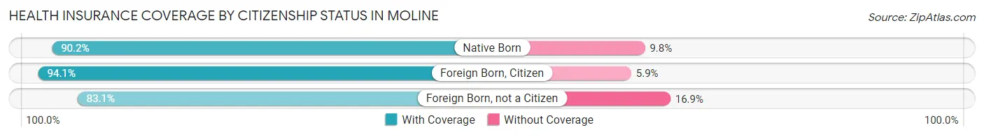 Health Insurance Coverage by Citizenship Status in Moline