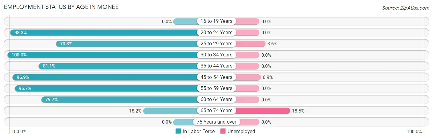 Employment Status by Age in Monee