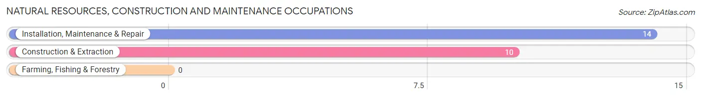 Natural Resources, Construction and Maintenance Occupations in Monroe Center