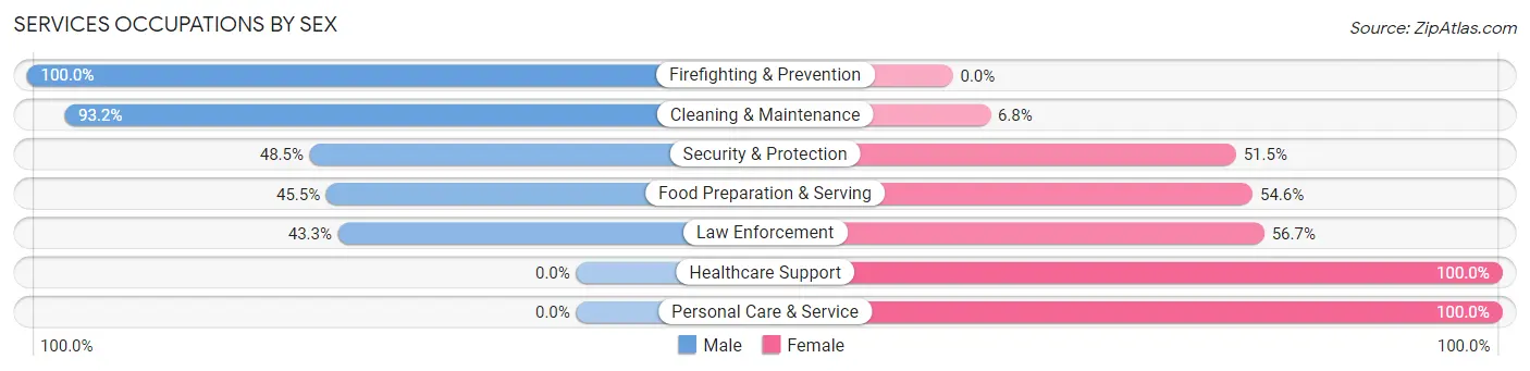 Services Occupations by Sex in Morrisonville