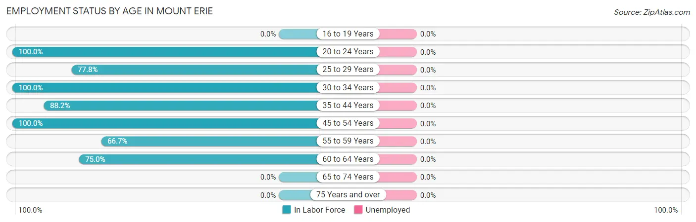 Employment Status by Age in Mount Erie